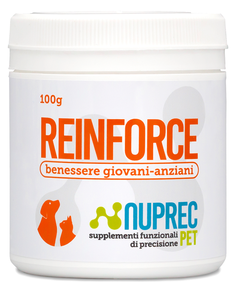 REINFORCE